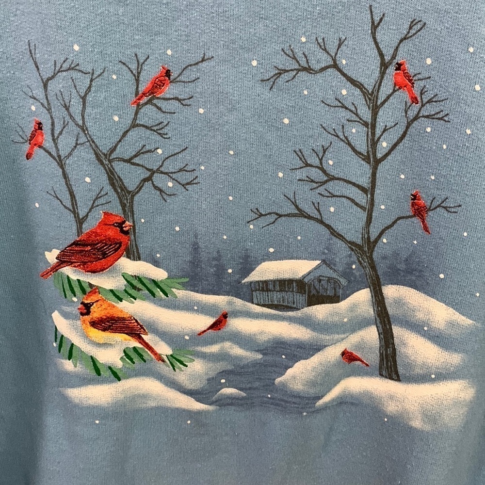 Jerzees Nublend sweatshirt with Cardinals, estimate size 2X, good condition